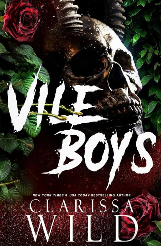 Vile Boys- Paperback